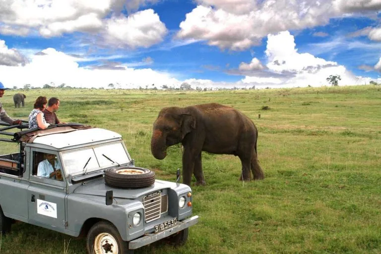 Tea Country Trekking